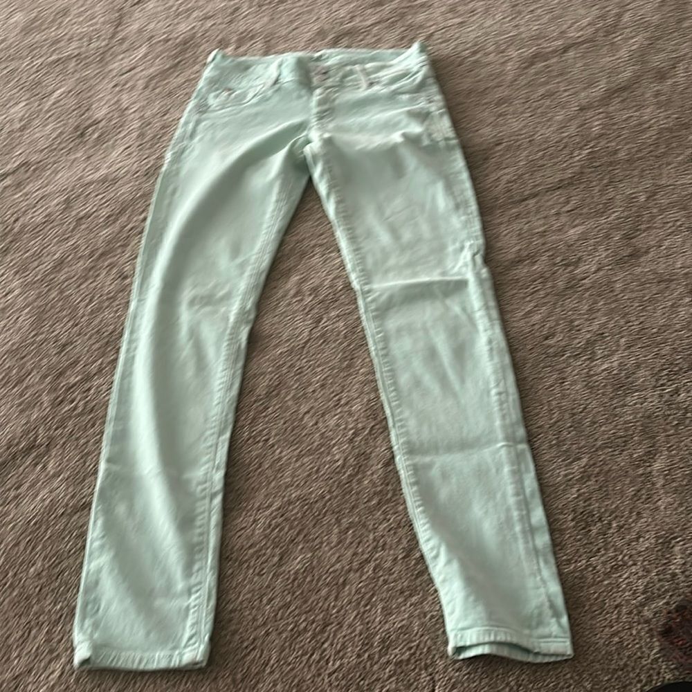 Hudson mint green skinny jeans size 26